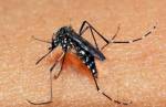Congonhas alerta sobre os cuidados para evitar proliferação do mosquito da dengue