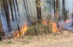  Bombeiros registram incêndios em lotes vagos de sete bairros de Lafaiete