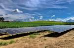 Sicredi aumenta investimentos na geração de energia solar em MG