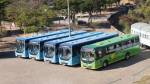 Após cinco dias de funcionamento, Viação Umuarama aumenta frota de ônibus em Lafaiete