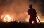 Incêndio destrói vegetação equivalente a cinco campos de futebol em Cristiano Otoni