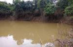 Apesar da seca, pequenos rios de MG continuam dando peixes