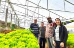 Hortaliças cultivadas em Lafaiete ganham destaque na Emater 