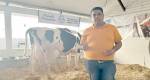 Sindijori: Vaca quebra recorde mundial de produção