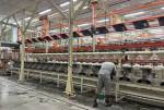 Sindijori: Docol inaugura fábrica em Poços