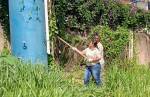 Combate à Dengue: Prefeitura de Lafaiete realiza mutirão de limpeza no bairro São João