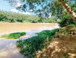Rio Pará começa a dar sinais de vida e lafaietenses aproveitam para anzolar