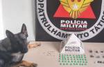 Com auxílio de cão farejador, PM apreende crack, maconha e cocaína em Lafaiete
