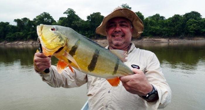 Tracajás no Rio Negro