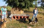 Feito com material reciclável, ‘cãodomínio’ vira atração no Paulo VI