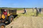 Sindjori: Sudene reserva R$ 1,9 bi do FNE para Minas Gerais