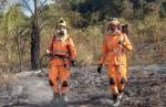 Incêndios em matas e lotes voltam a atormentar Lafaiete