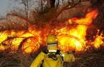 Polícia Militar, Corpo de Bombeiros,  Defesa Civil e Sisema intensificam ações para coibir incêndios criminosos