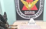 Combate ao tráfico: PM   apreende crack e cocaína na rodoviária e bairro São João em CL