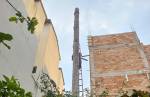 Santa Matilde: bombeiros realizam corte de árvore que oferecia risco de queda em residência 